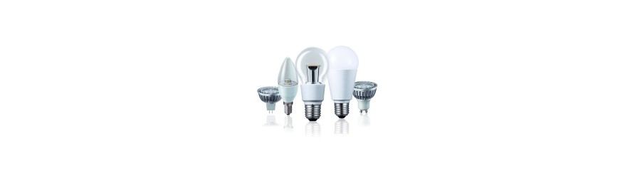 Filter bulbs